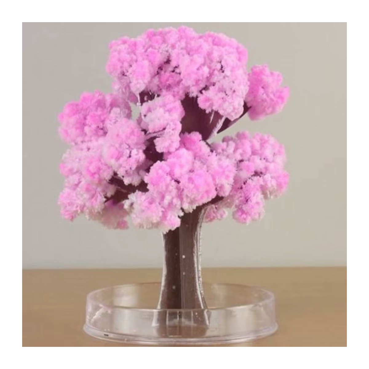 DOORSACCERY Mini Magisches Wachsendes Sakura Kristall Baum Ornament in Rosa als DIY Deko und Wissenschafts-Spielzeug - Bild 4