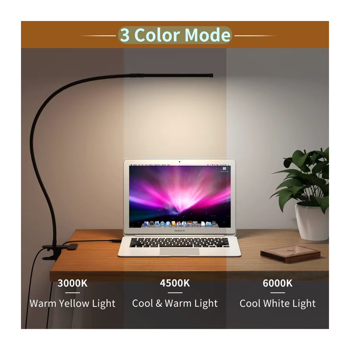DOUWENXI LED-Schreibtischlampe in Schwarz mit Klemme, dimmbar mit 10 Helligkeitsstufen und 3 Beleuchtungsmodi, USB-Stromversorgung, flexible Leselampe im minimalistischen Design - Bild 2