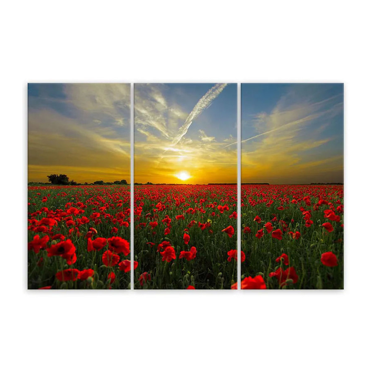 Dreiteiliger Leinwanddruck Feeby Feldmohn-Sonnenuntergang in Rot und Mehrfarbig, B: 60 cm, H: 40 cm - Bild 2