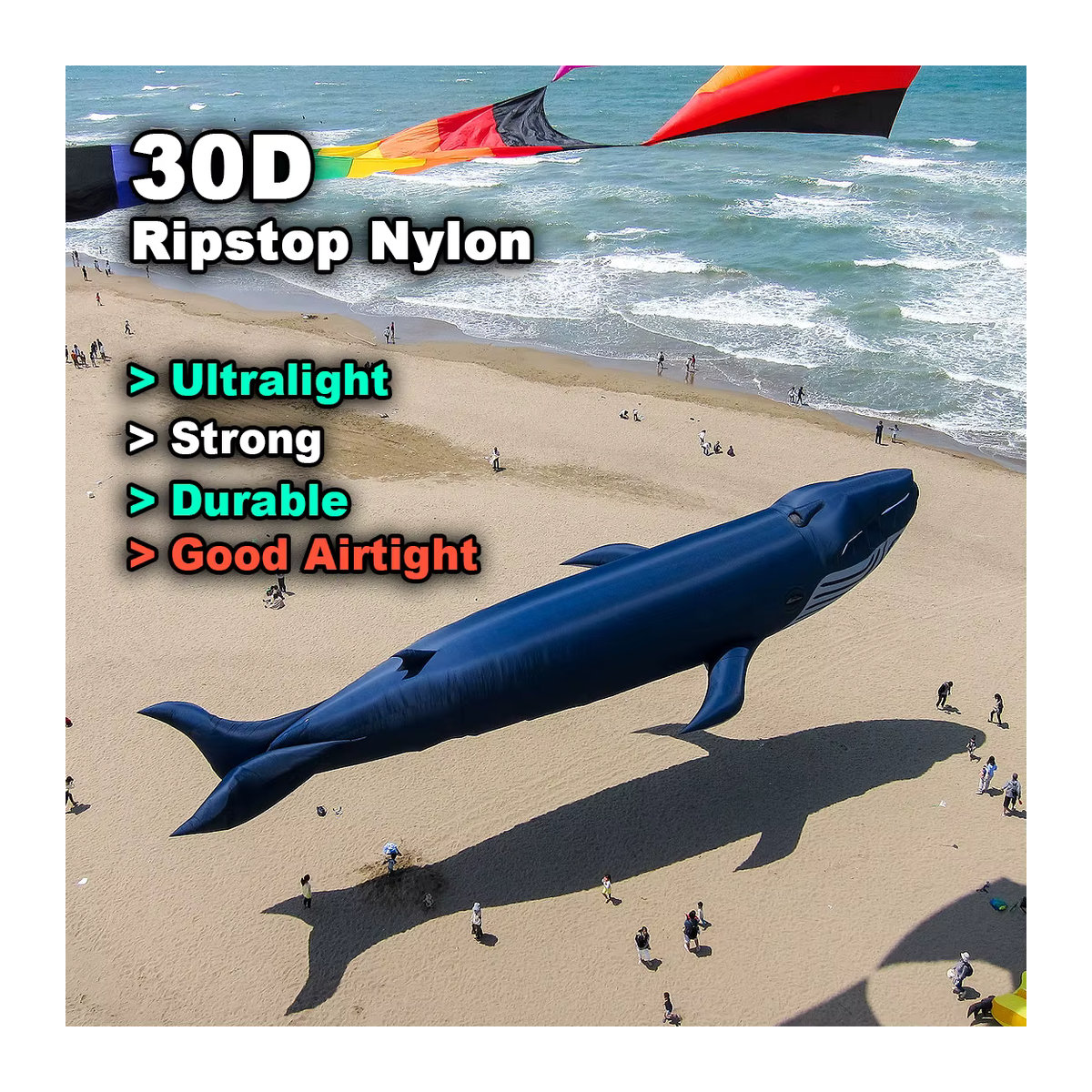 DWLIFE Wal-Drachen Blau aus 30D-Ripstop-Nylon für Kite Festivals - Bild 2