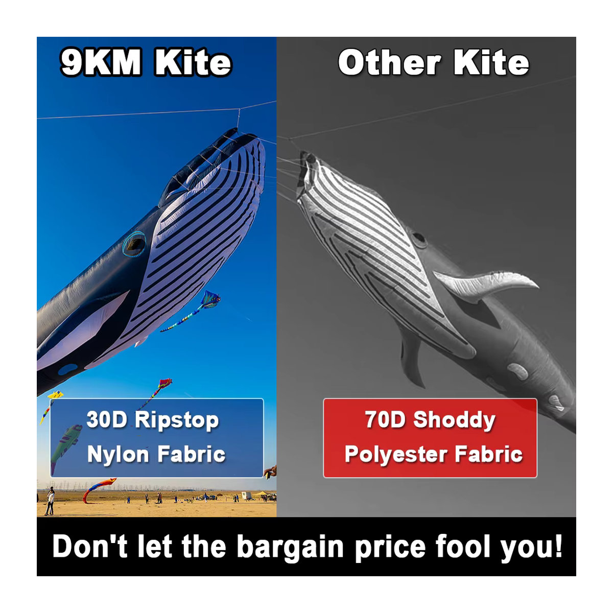DWLIFE Wal-Drachen Blau aus 30D-Ripstop-Nylon für Kite Festivals - Bild 3