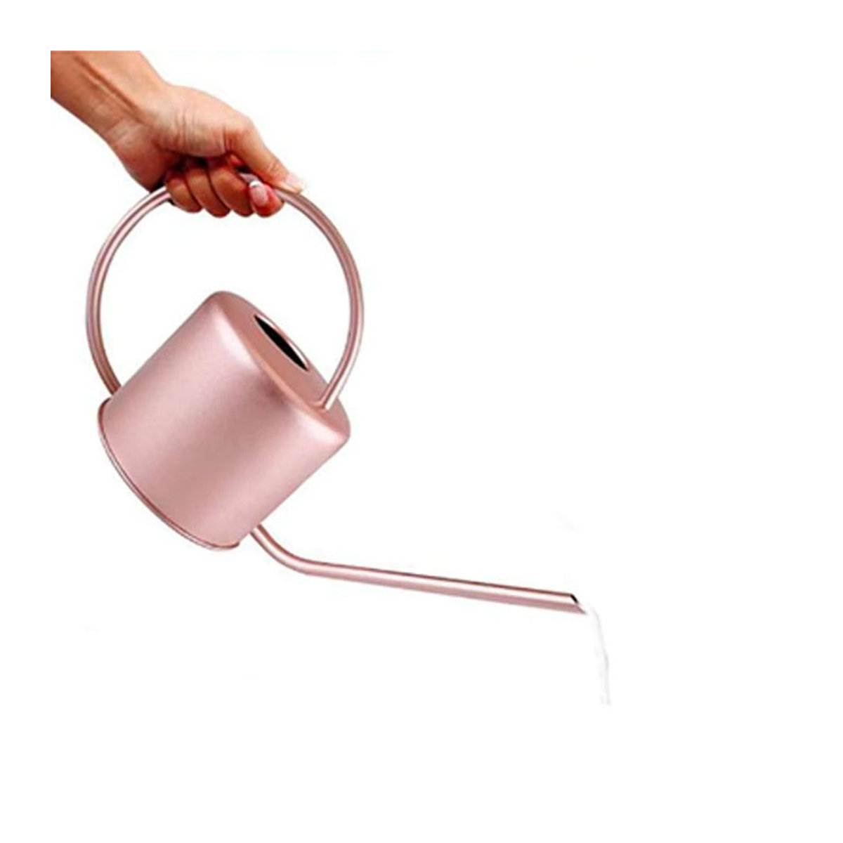 Edelstahl Gießkanne mit langem Auslauf, 1,3 l Pflanzensprinkler in Silber und Bunt - Bild 3