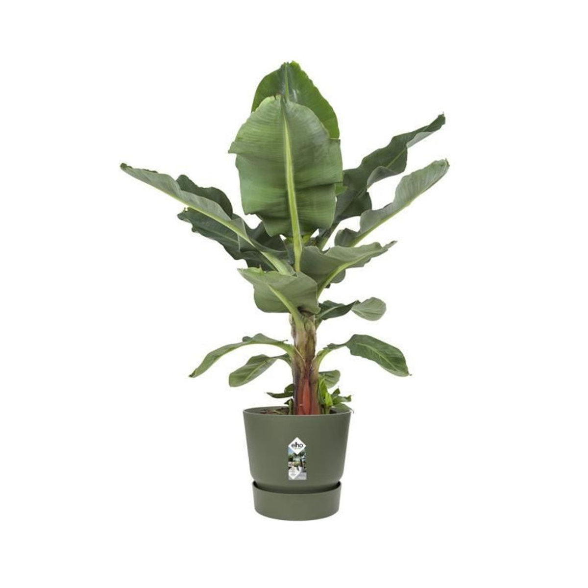 ELHO Ronde bloempot Greenville Pflanzkübel aus 100% recyceltem Material Grün Durchmesser: 55 cm, Höhe: 50 cm - Bild 3