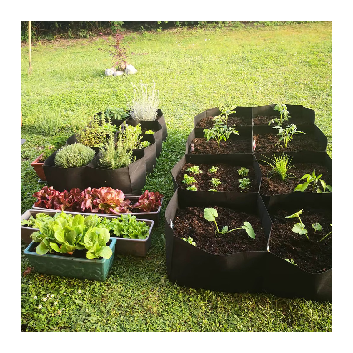 Erhöhtes Gartenbeet aus Filz mit Taschen für Gemüse und Blumen, rechteckige Pflanzbeutel und quadratische Pflanzenwachstumsbeutel mit Multi-Gitter-Struktur - Bild 4