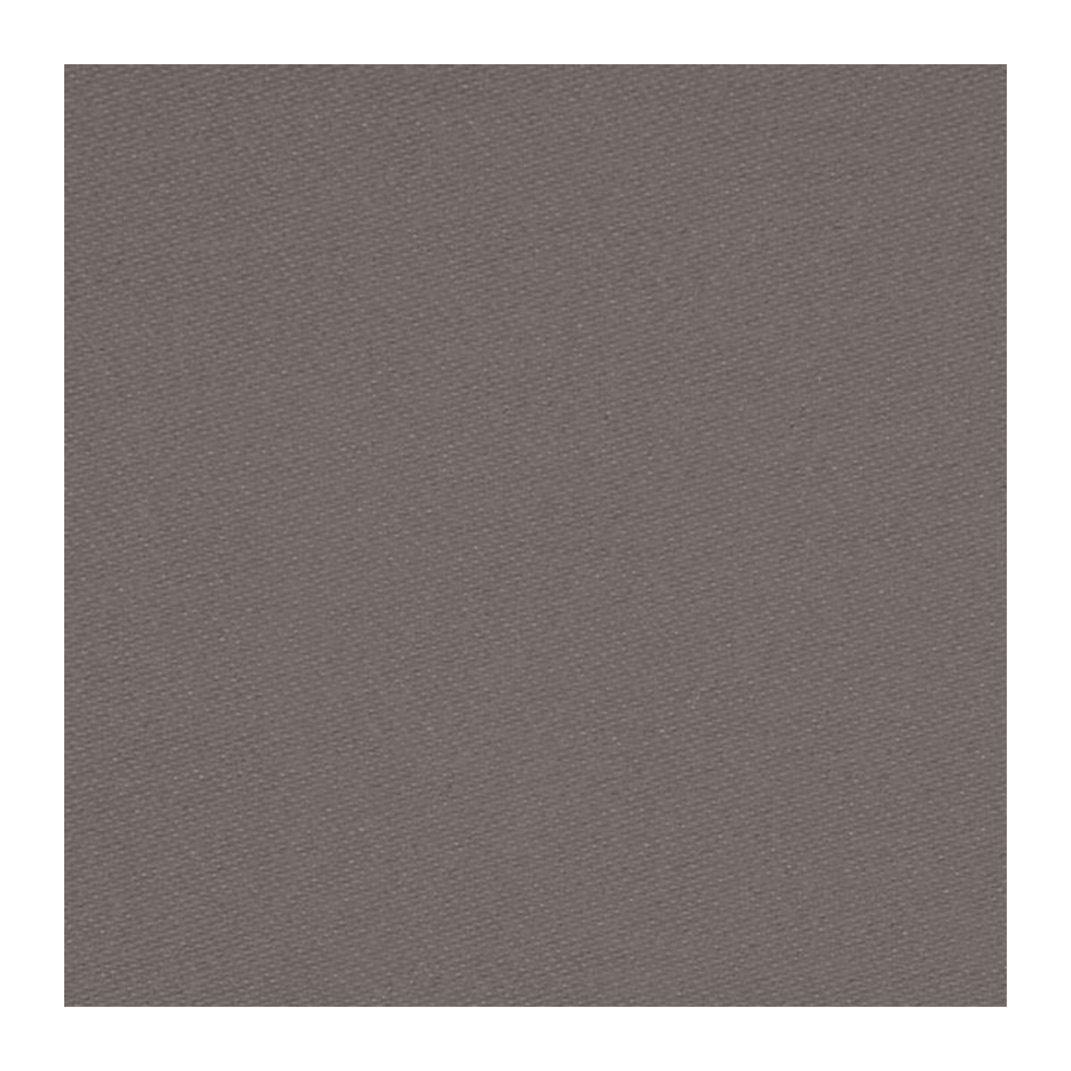 ERWIN M. Meterware Palermo Baumwolle in Grau, Breite: 280 cm - Bild 1