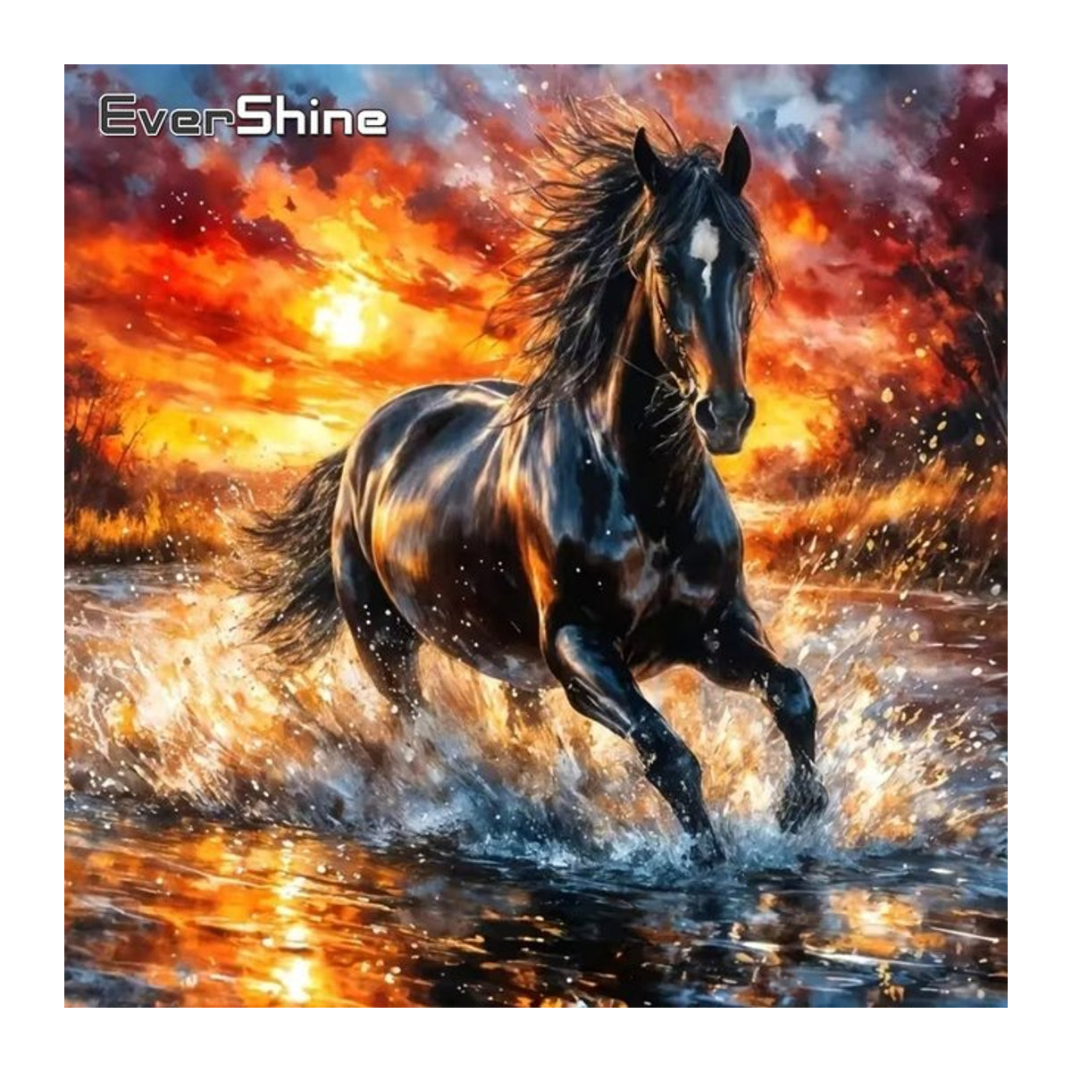 Evershine Diamant-Stickerei Pferd Mosaik-Set für Erwachsene in Mehrfarbig mit Holz-Elementen und rundem Design - Bild 1