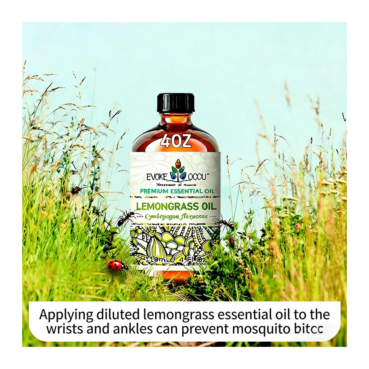 EVOKE OCCU Zitronengras Ätherisches Öl, 118 ml reines natürliches Öl für Diffusor, Kerzen, Seifen und Massagen - Bild 3