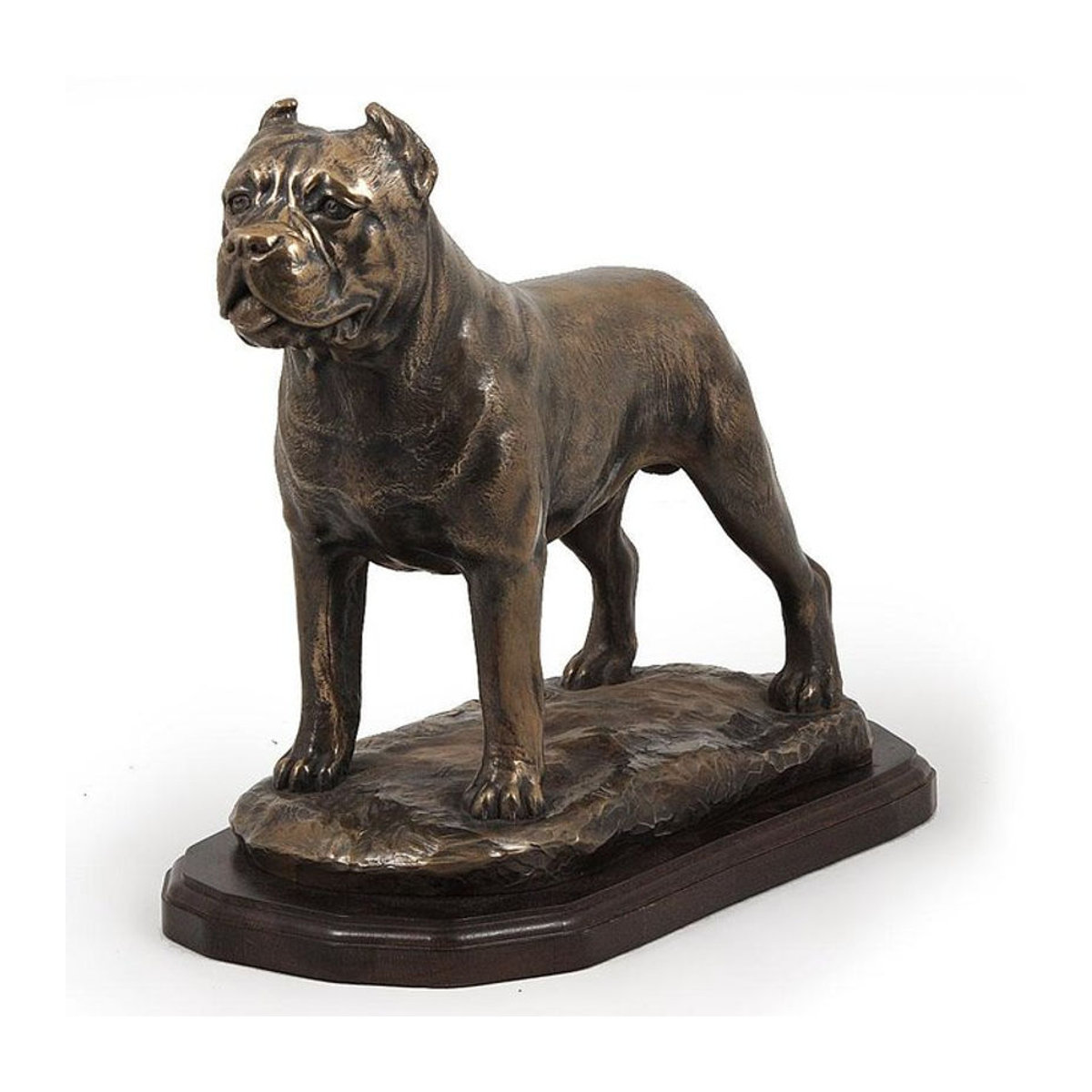 Exklusive Cane Corso Hundefigur von Art-Dog in Braun als luxuriöse Innendekoration aus Kunstharz - Bild 1