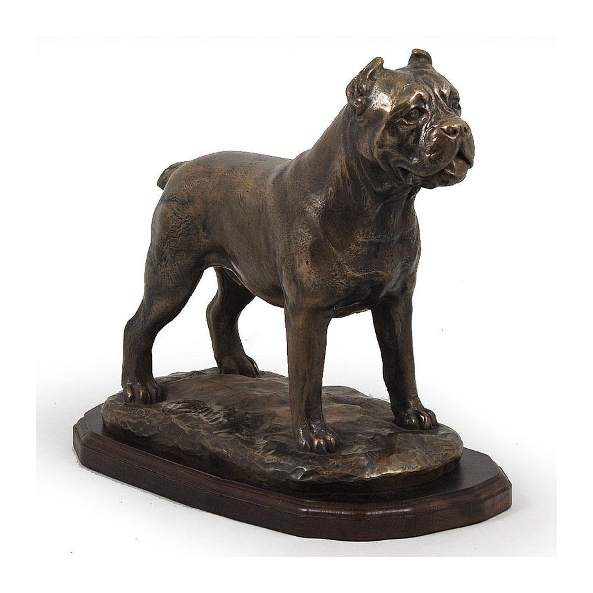 Exklusive Cane Corso Hundefigur von Art-Dog in Braun als luxuriöse Innendekoration aus Kunstharz - Bild 2