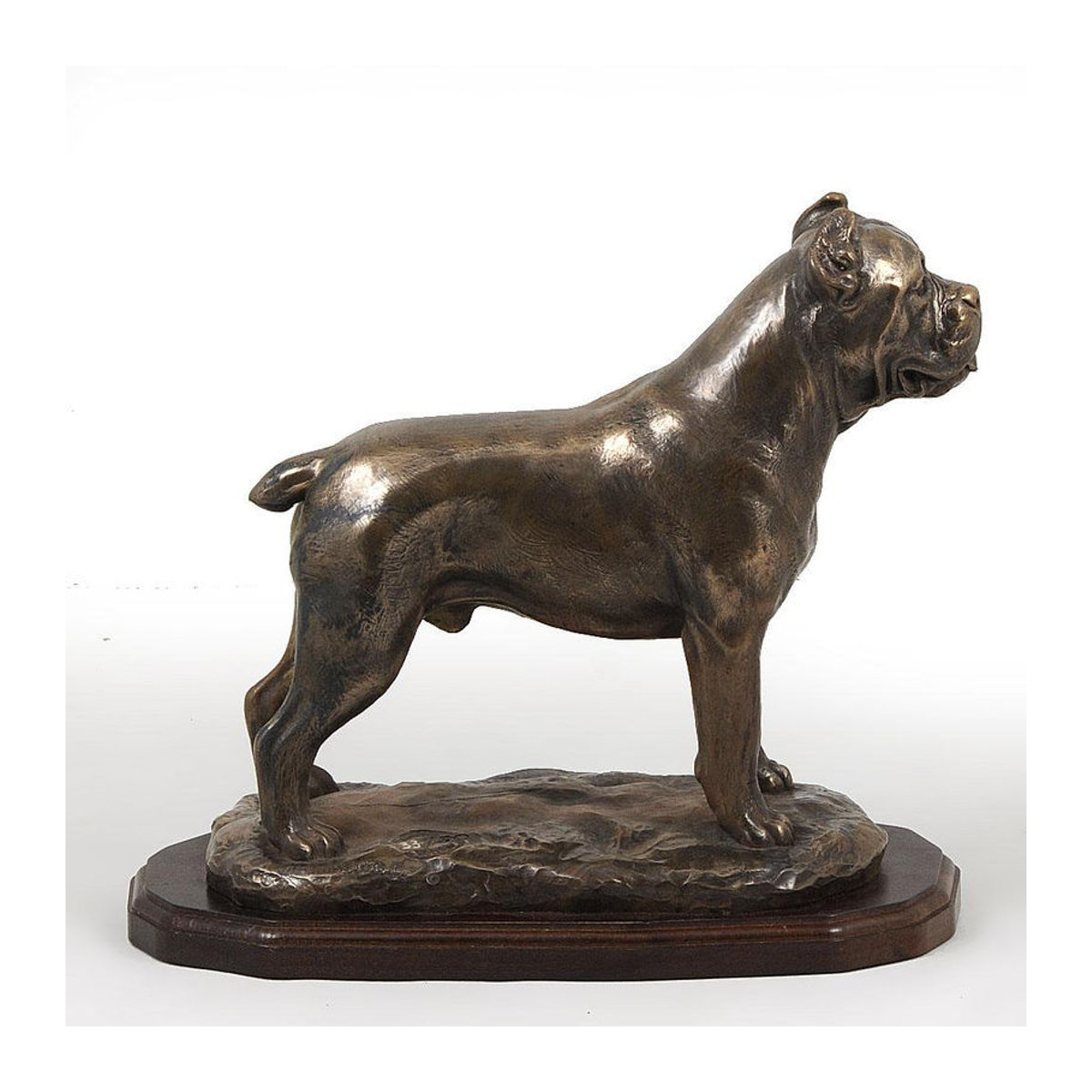 Exklusive Cane Corso Hundefigur von Art-Dog in Braun als luxuriöse Innendekoration aus Kunstharz - Bild 3