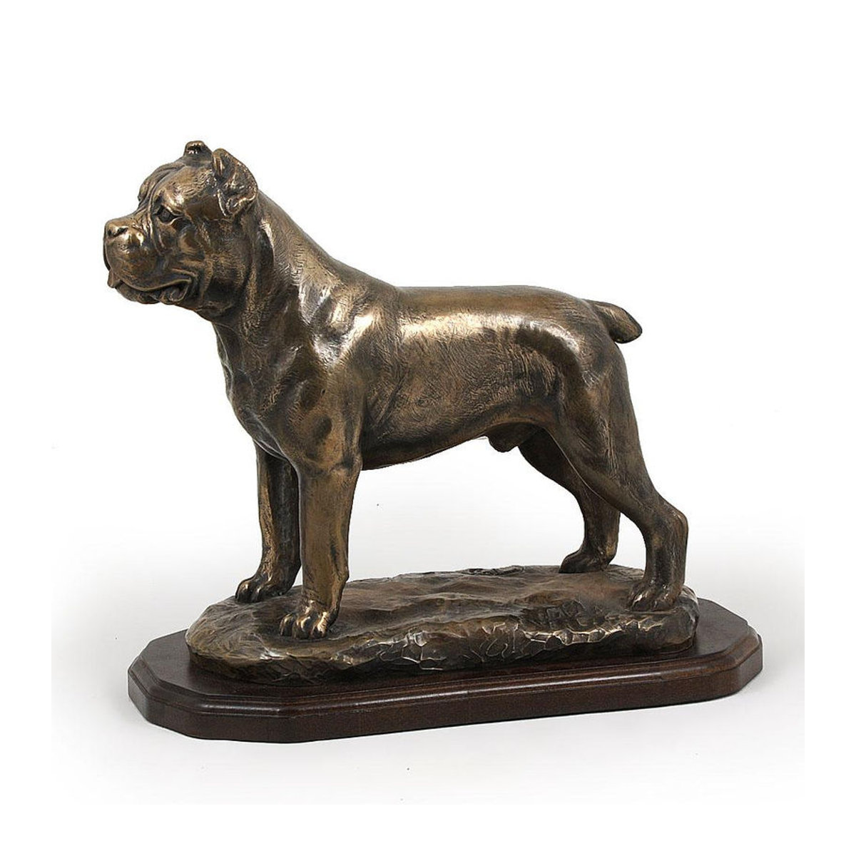 Exklusive Cane Corso Hundefigur von Art-Dog in Braun als luxuriöse Innendekoration aus Kunstharz - Bild 4