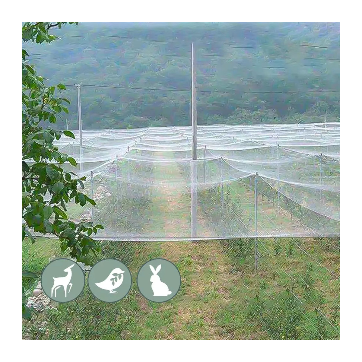 Extra starkes Anti-Vogel-Netz aus Nylon als Gartennetz zum Schutz von Obst, Ernte, Pflanzen und Bäumen gegen Vögel und Rehe - Bild 3