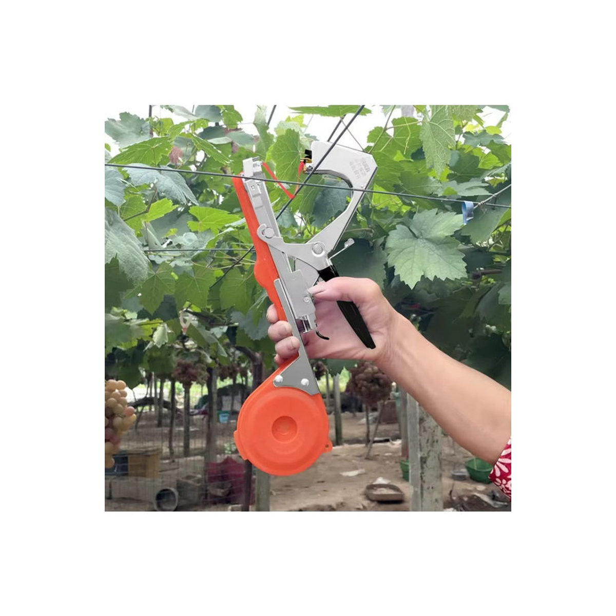 FACTOOL Bindemaschine für Pflanzen mit 10 Rollen Klebeband-Set in Bunt für Garten, Gemüse und Blumen - Bild 2
