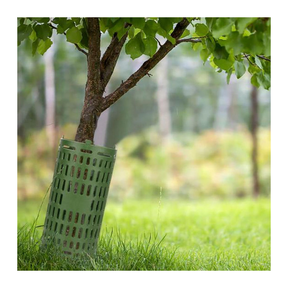 Family & Garden Baumstammschutz Set aus 2 Stück in Grün mit verstellbarem Design - Bild 9