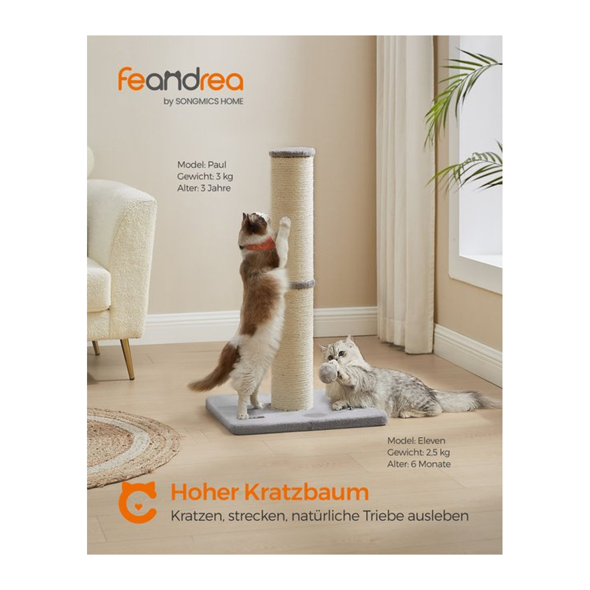 Feandrea Kratzbaum als freistehende Kratzsäule für mittelgroße und große Katzen, Höhe: 85 cm, Stammstärke: 13 cm, Farbe: Schwarz/Grau - Bild 1