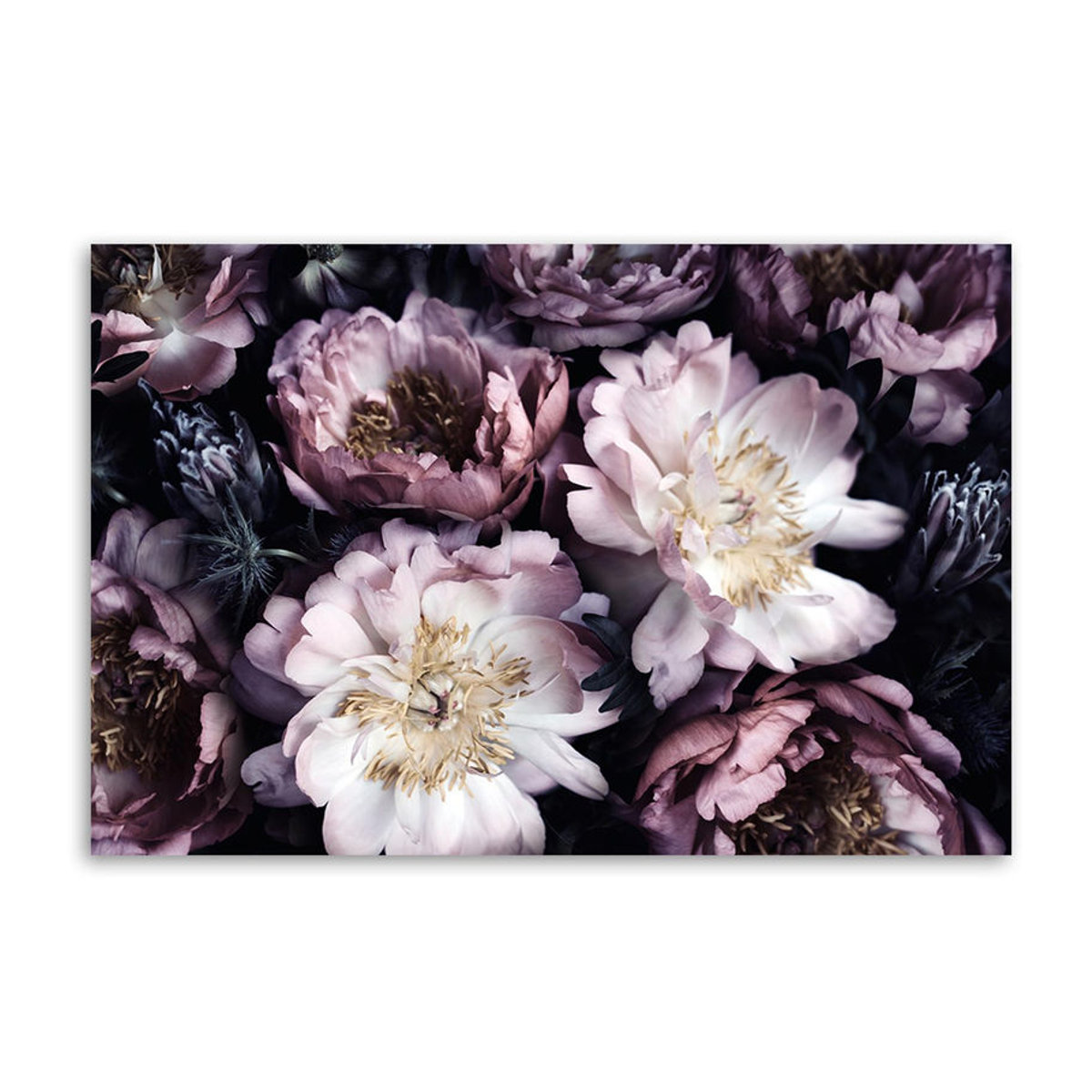 Feeby Leinwand Bouquet de fleurs Vintage Garden, lila, B: 60 cm, H: 40 cm - Bild 2