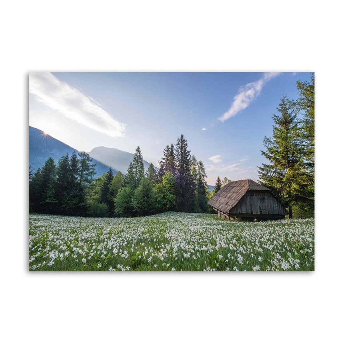 Feeby Leinwand Landschaft Holzhaus im Wald Dekoration Blau Mehrfarbig B: 60 cm, H: 40 cm - Bild 2