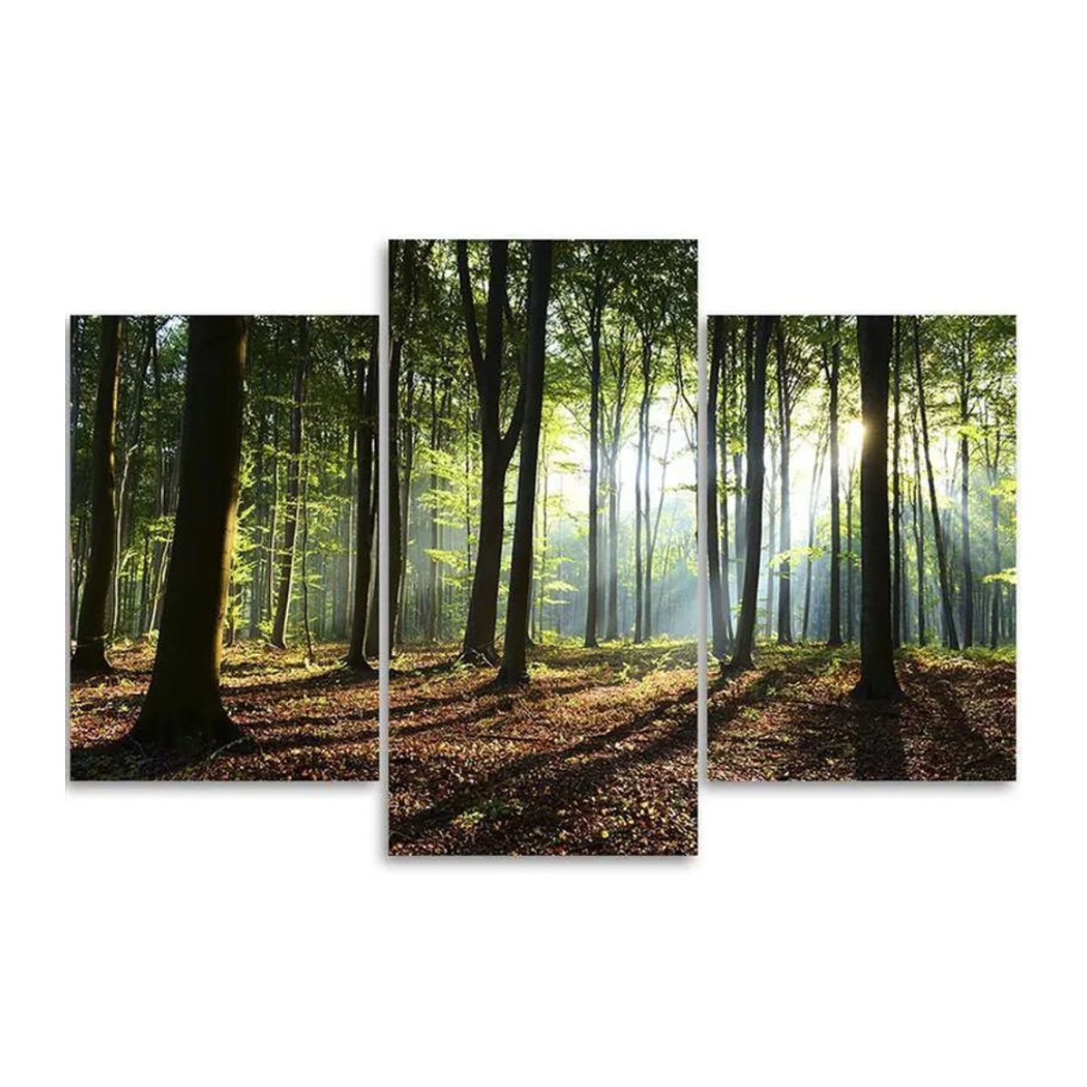 Feeby Leinwandbild Boslandschaft Natur mehrfarbig, Querformat, B: 60 cm, H: 40 cm - Bild 2