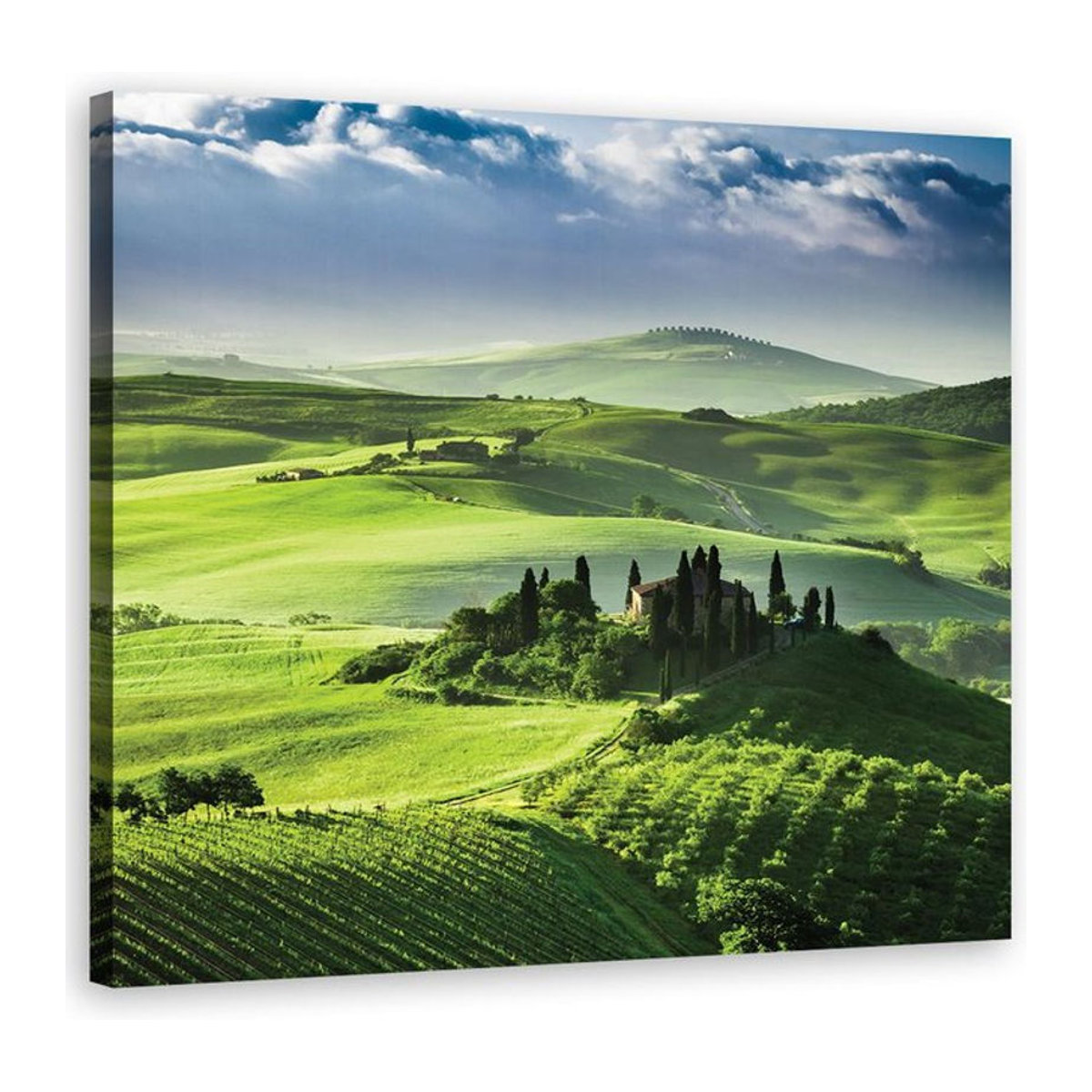 Feeby Leinwandbild Toskana-Landschaft in Grün, quadratisch, 30 x 30 cm - Bild 1