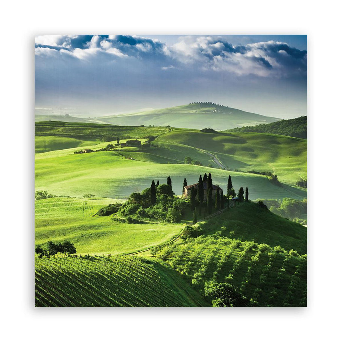 Feeby Leinwandbild Toskana-Landschaft in Grün, quadratisch, 30 x 30 cm - Bild 4