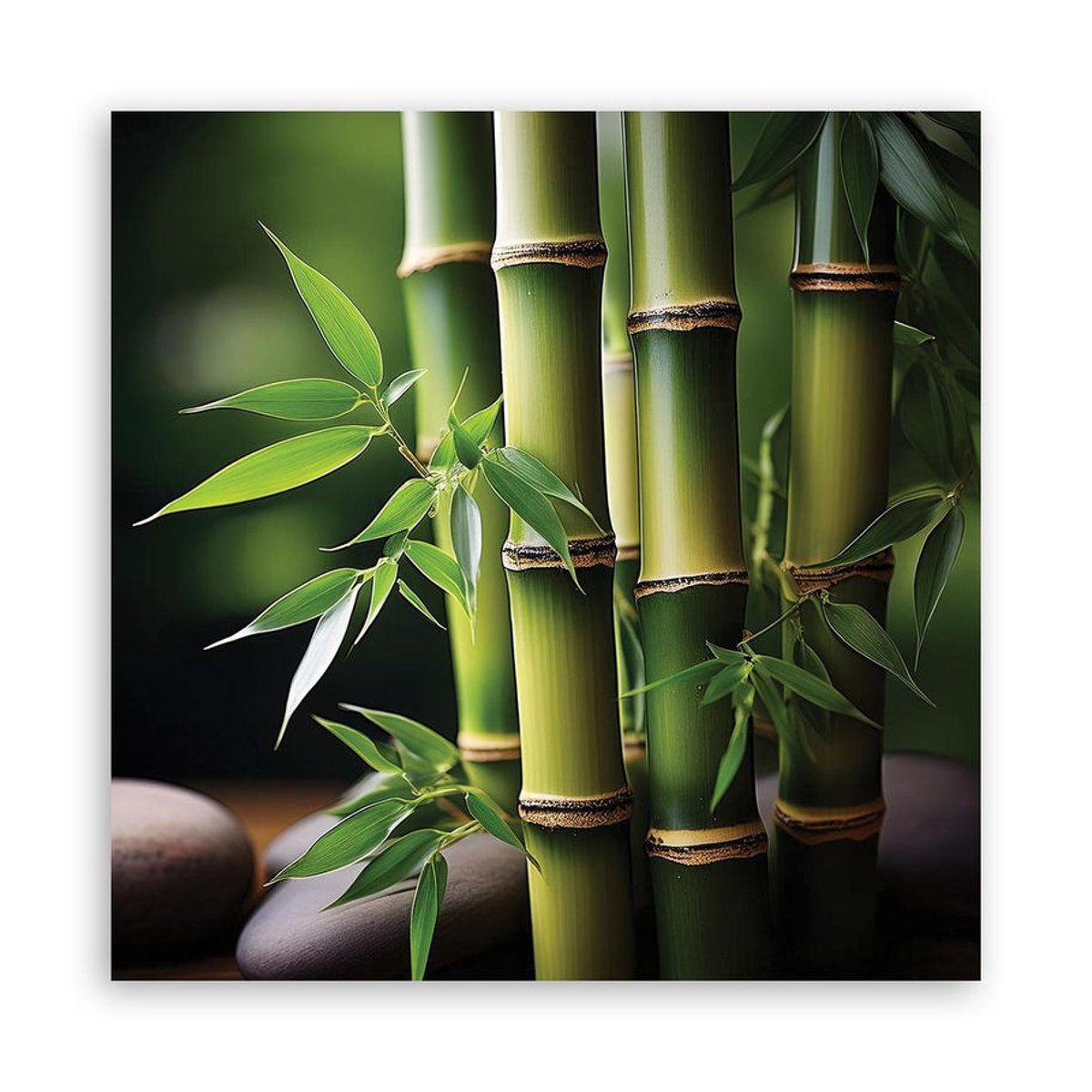 Feeby Leinwanddruck Orientalischer Zen-Bambus in Grün, Quadratisch, B/T/H: 30 x 30 x 30 cm - Bild 3