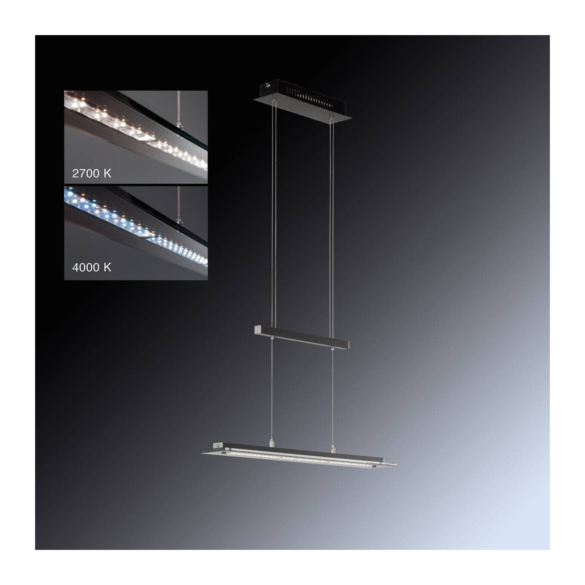 Fischer & Honsel LED-Pendelleuchte Tenso Schwarz Chrom Glas Metall Modern Minimalistisch B/H/T: 88 x 150 x 9 cm - Bild 4