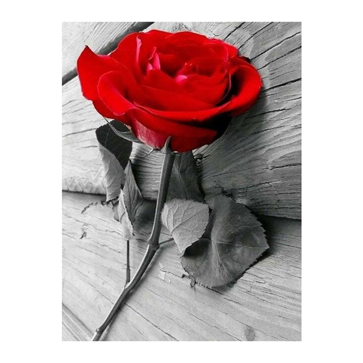 FIYO Diamant-Gemälde Rosenblume als Diamant-Stickerei in Schwarz-Weiß-Rot, B: 40 cm, H: 50 cm - Bild 4