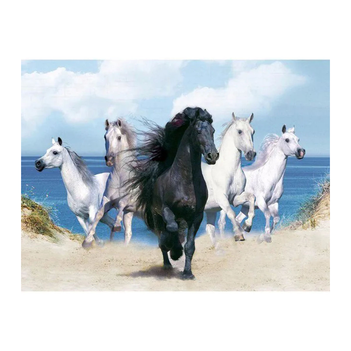 FIYO Diamond Painting Set 5D DIY Wandbild Schwarz-Weißes Pferd B/H: 30 x 20 cm - Bild 1