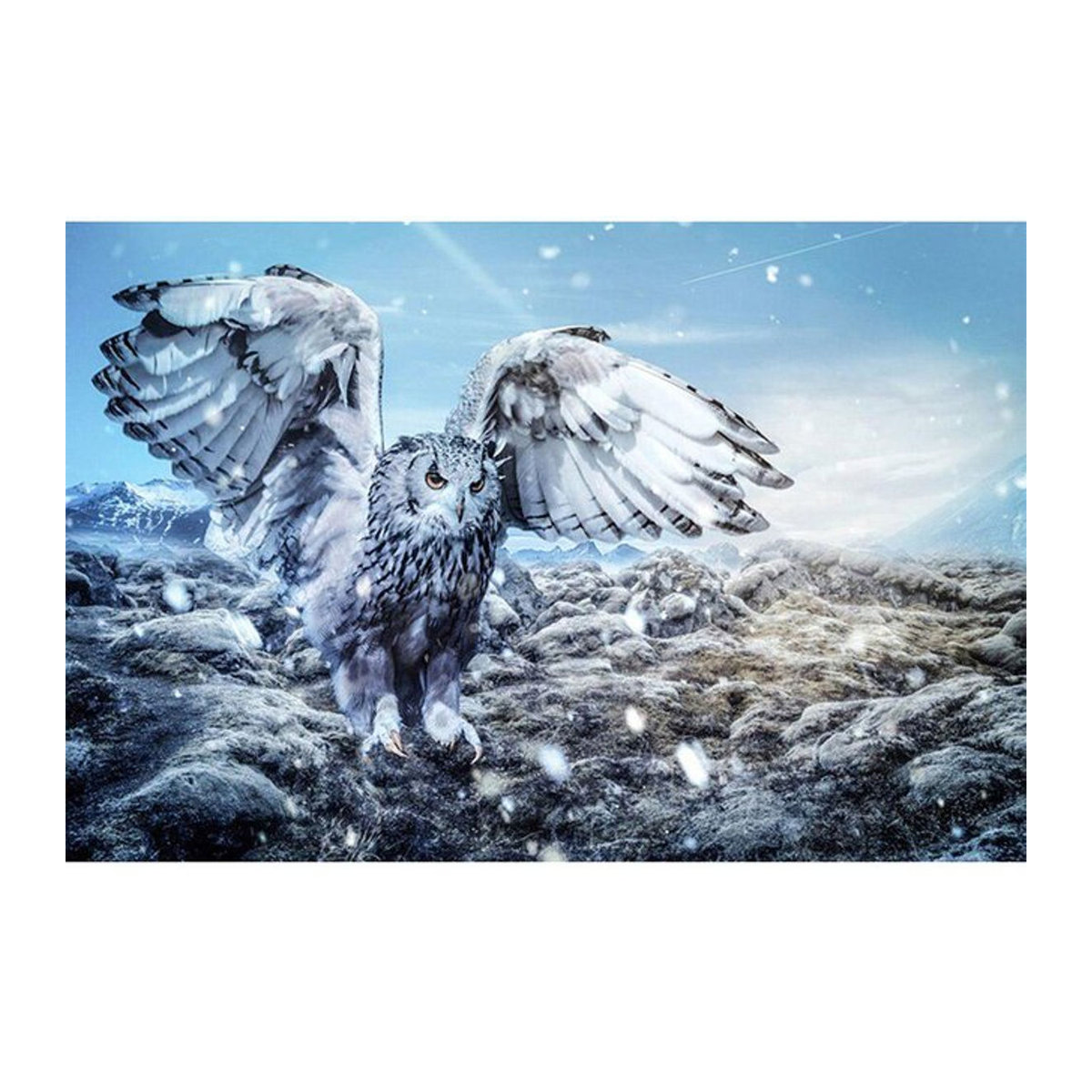 FIYO Diamond Painting Set Adler Motiv als 5D Mosaik-Stickerei in Mehrfarbig, B/H: 30 x 20 cm - Bild 1