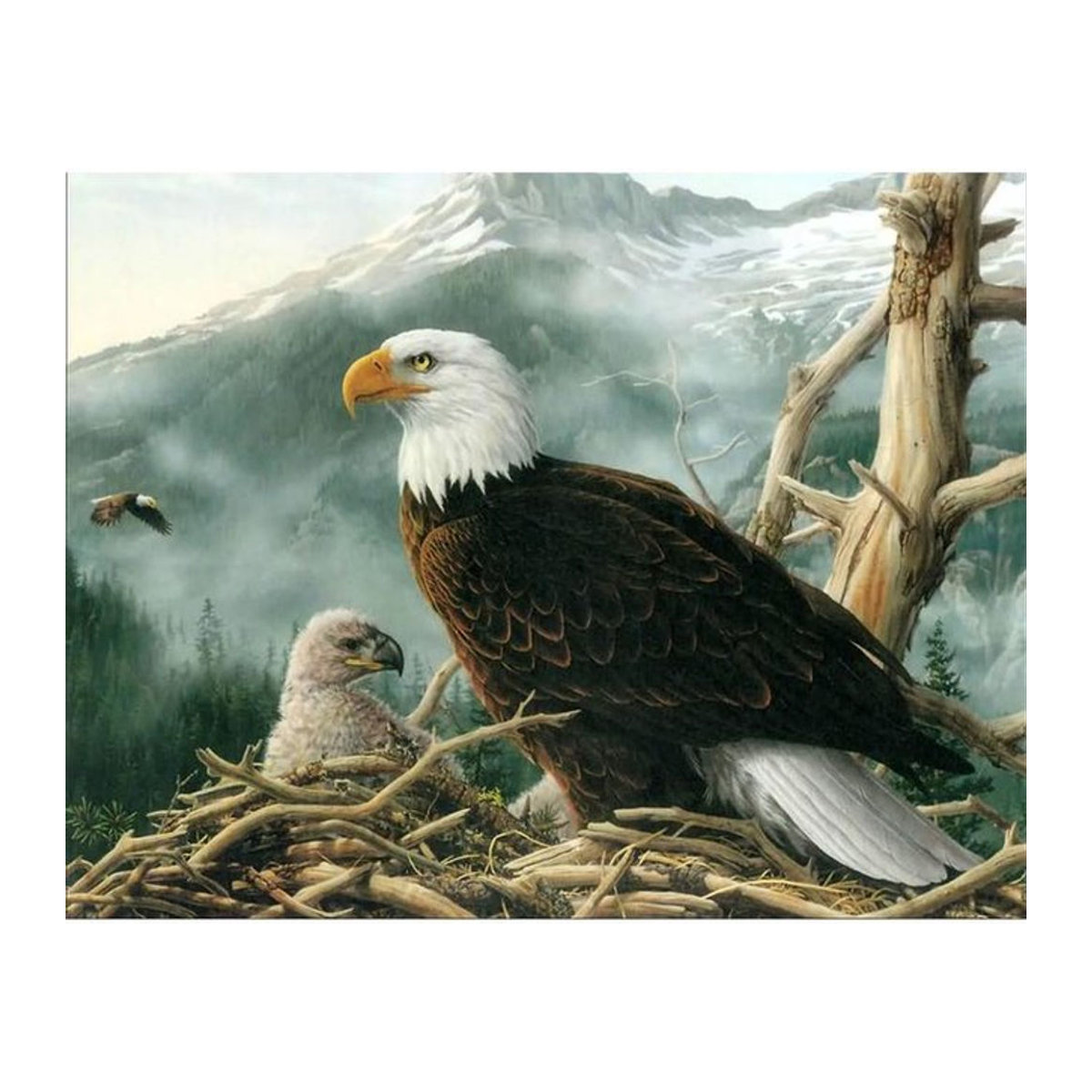 FIYO Diamond Painting Set Adler Motiv, Mehrfarbig, B x H: 30 x 20 cm - Bild 1