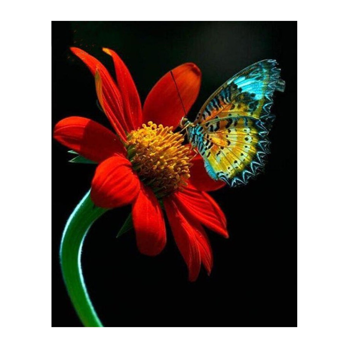 FIYO Diamond Painting Set mit roten Blumen als DIY-Mosaik-Stickerei, B/H: 20 x 30 cm - Bild 1