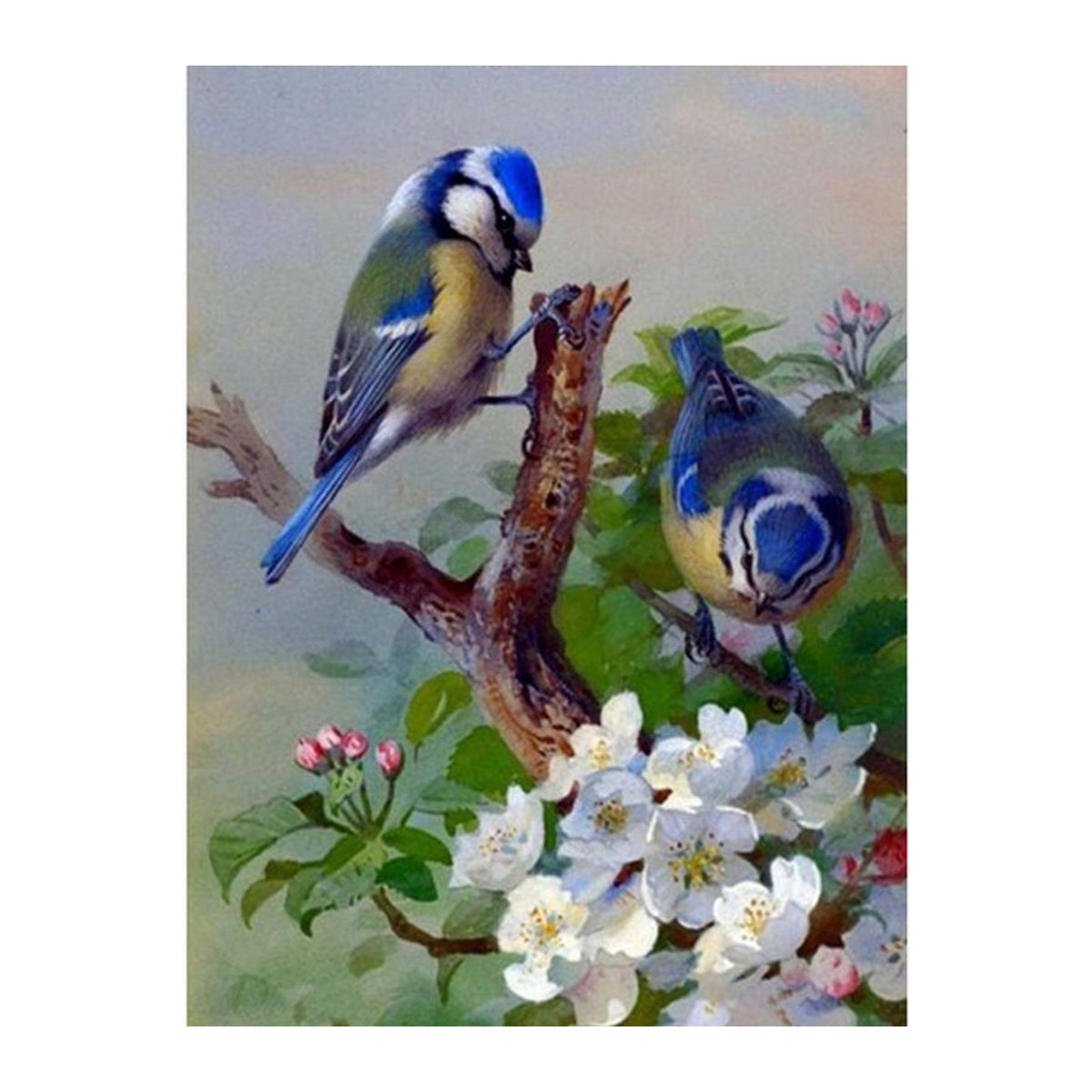 FIYO Diamond Painting Set mit Vogelmotiv, Stickset für Kreuzstich und Perlenstickerei, mehrfarbig, B/H: 30 x 20 cm - Bild 1