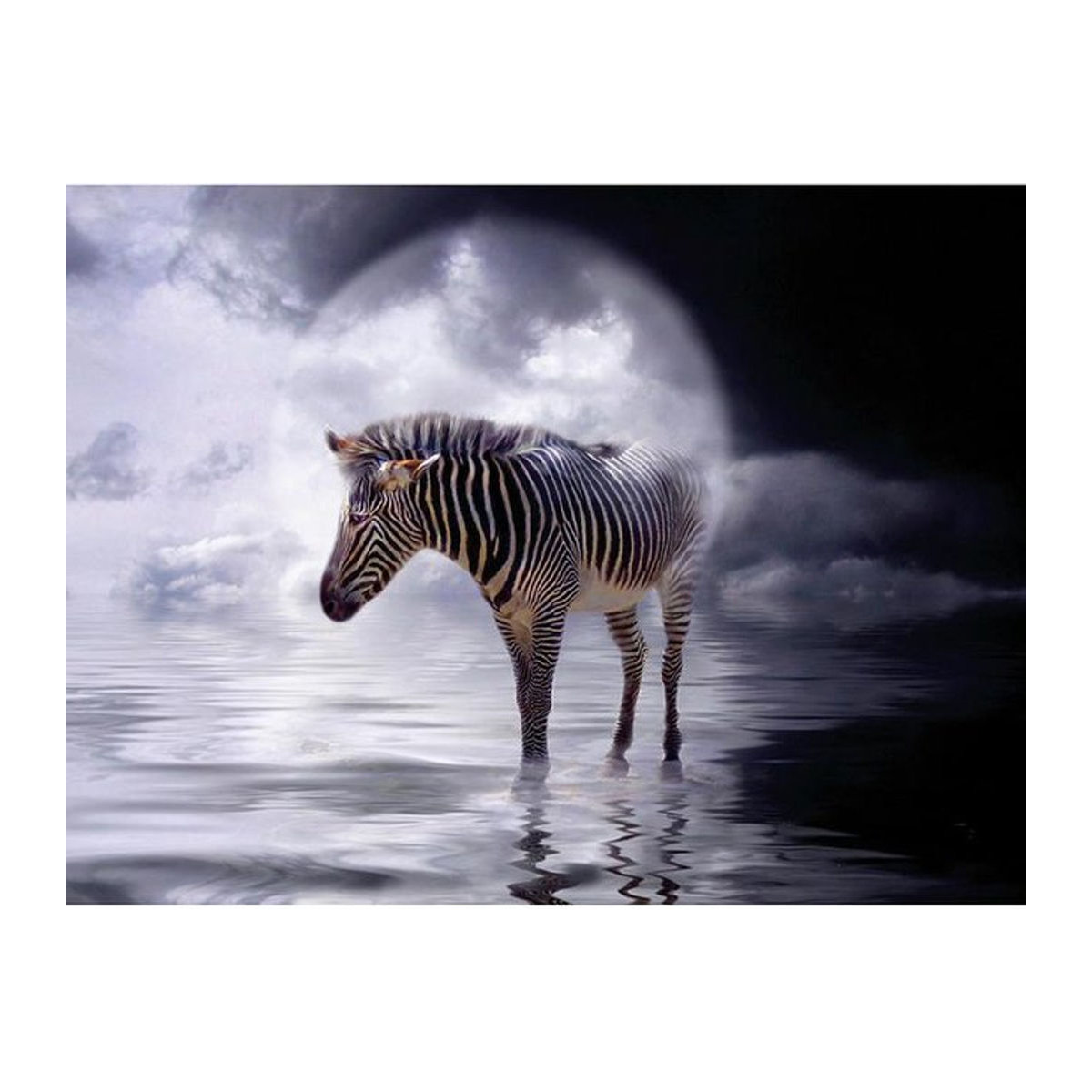 FIYO Diamond Painting Set Zebra im Wasser als 5D DIY Mosaik Stickerei in Mehrfarbig, B/H: 20 x 30 cm - Bild 1
