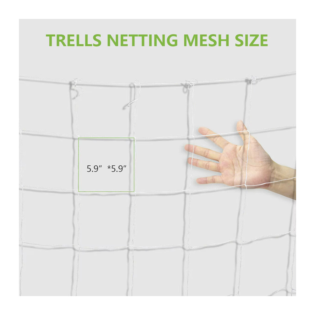 Flexibles Garten Kletternetz aus Luffa für Pflanzen wie Gurken und Reben, erhältlich in 9m oder 18m Länge - Bild 1