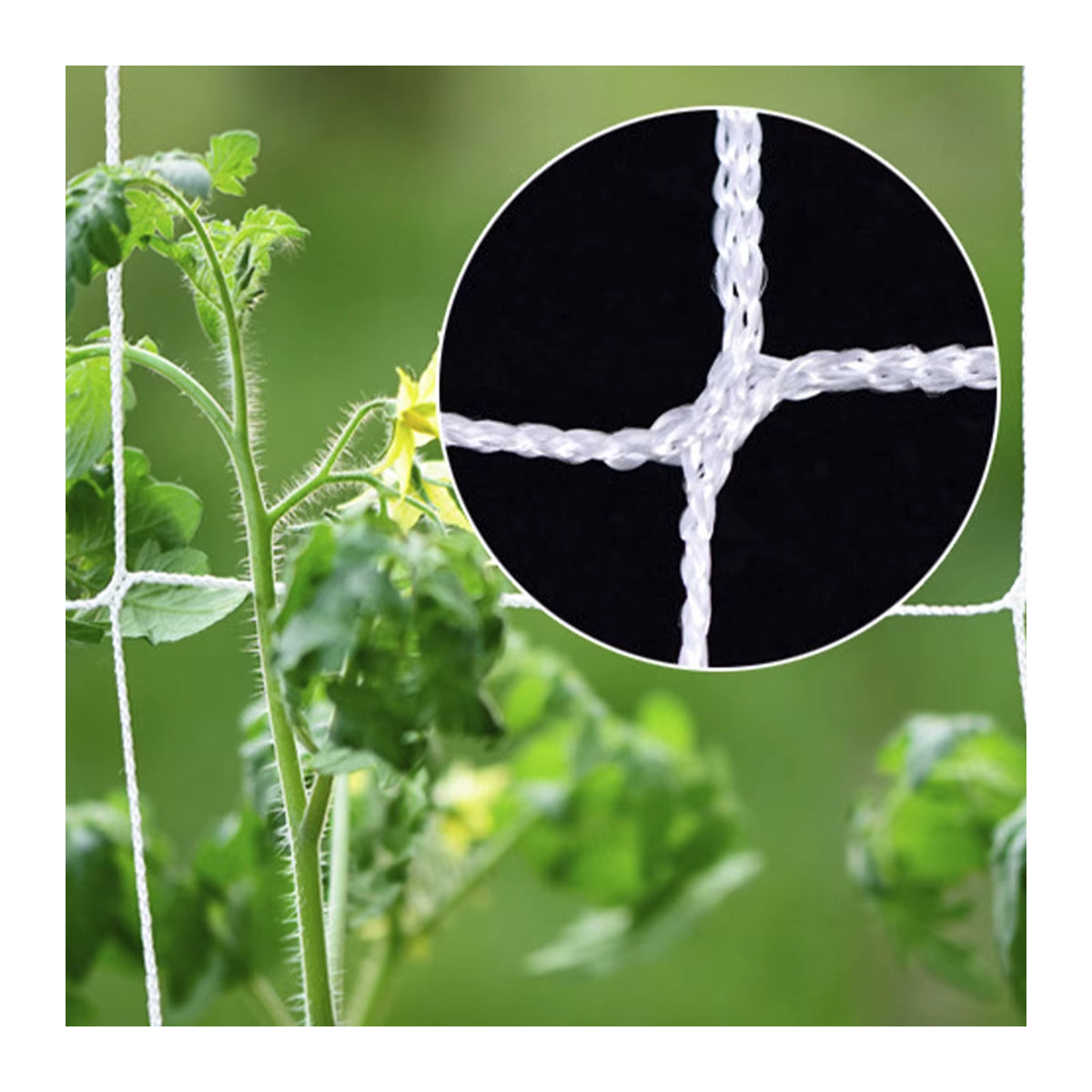 Flexibles Garten Kletternetz aus Luffa für Pflanzen wie Gurken und Reben, erhältlich in 9m oder 18m Länge - Bild 2