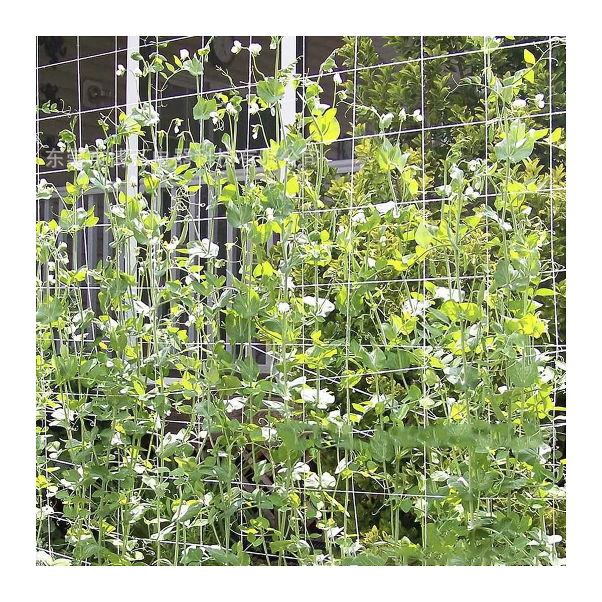 Flexibles Garten Kletternetz aus Luffa für Pflanzen wie Gurken und Reben, erhältlich in 9m oder 18m Länge - Bild 3