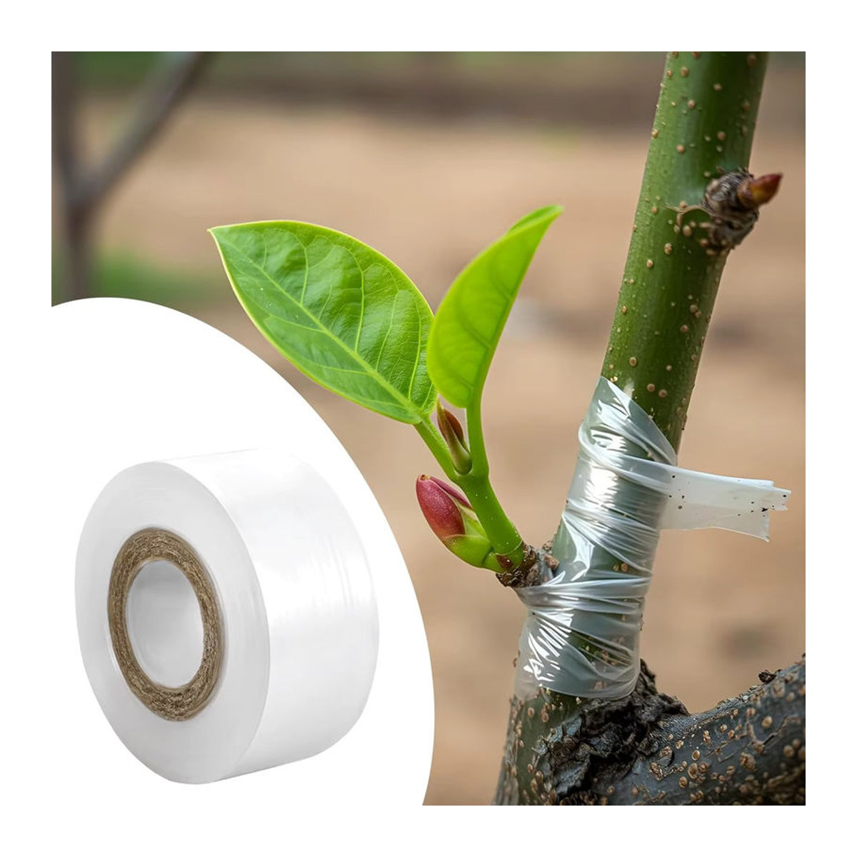 Flexibles Pfropfband in Weiß für Garten und Pflanzen, dehnbares Dichtungsband zum Pfropfen von Bäumen, Breite: 0,3 cm bis 0,7 cm - Bild 2