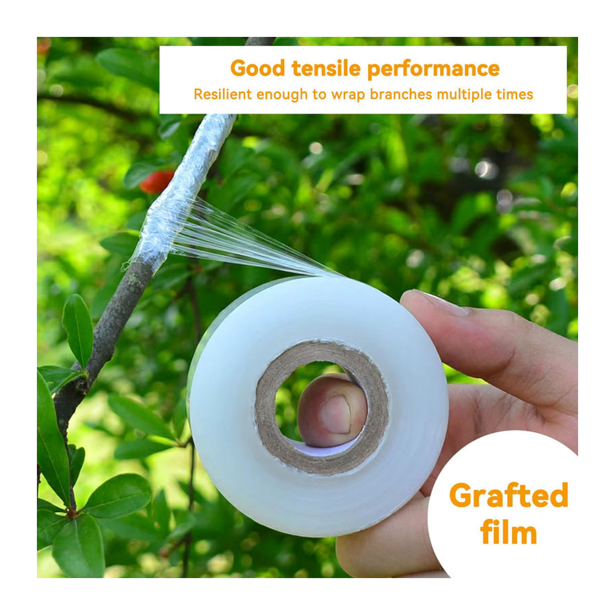 Flexibles Pfropfband in Weiß für Garten und Pflanzen, dehnbares Dichtungsband zum Pfropfen von Bäumen, Breite: 0,3 cm bis 0,7 cm - Bild 3