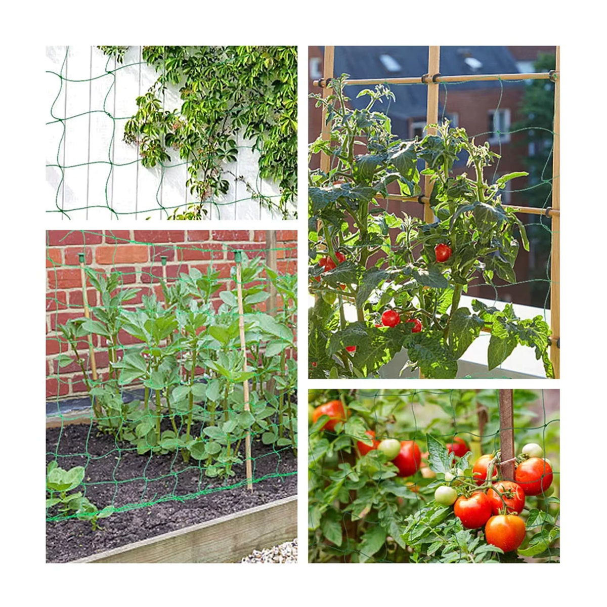 Flexibles Schnurnetz als Spaliernetz für Kletterpflanzen, Obst, Gemüse und Weinreben im Garten - Bild 3