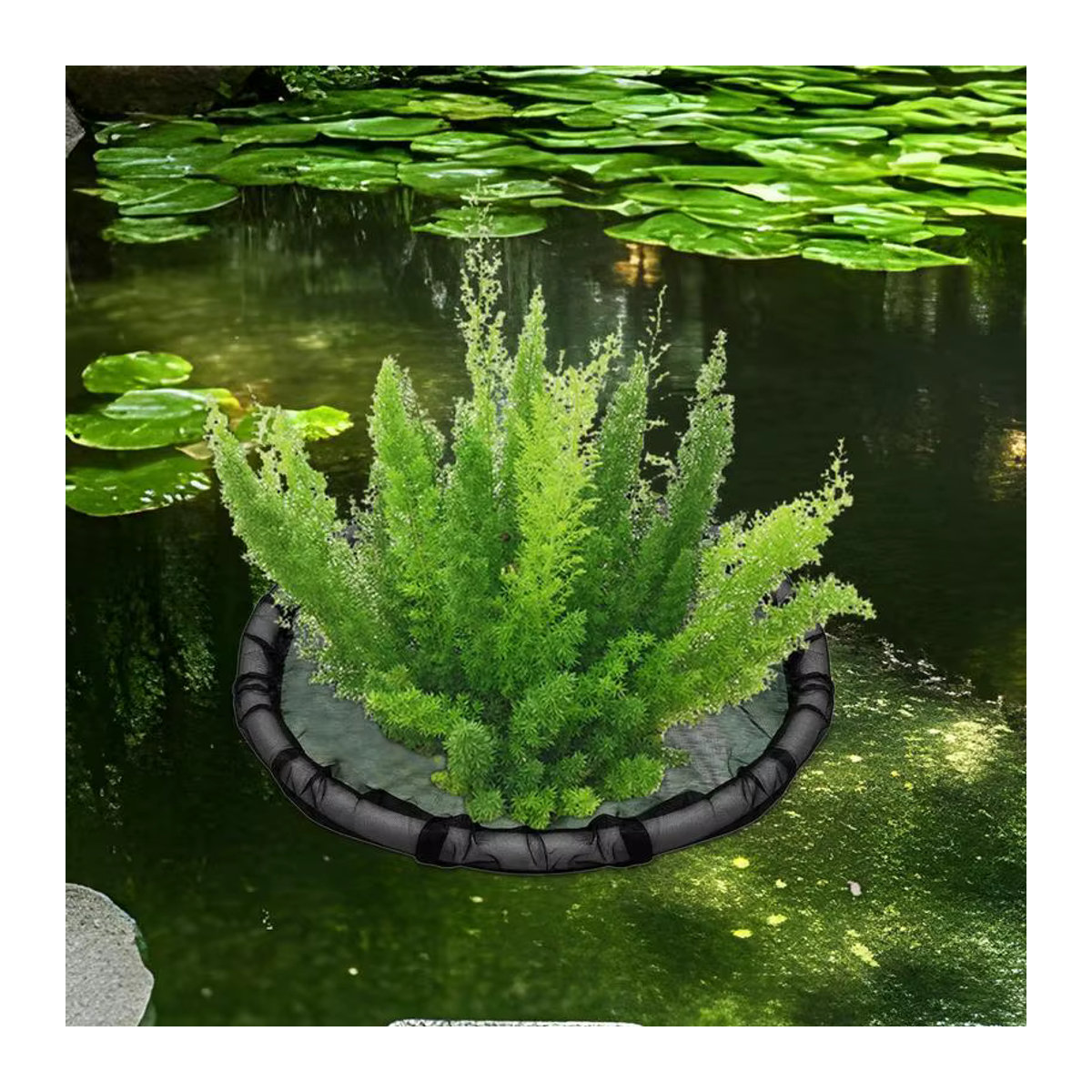 Floating Island Pflanzenprotektor Schwarz, 45 cm Netz Pflanzkorb für Gartenteiche - Bild 4