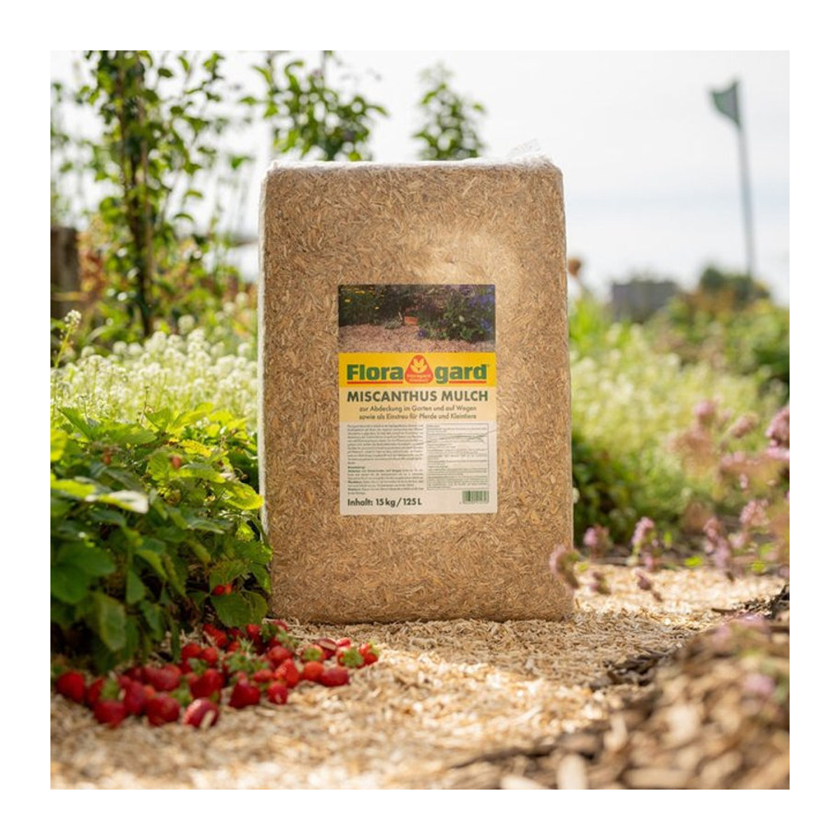 Floragard Miscanthus Mulch in Braun, 125 Liter - Bild 1