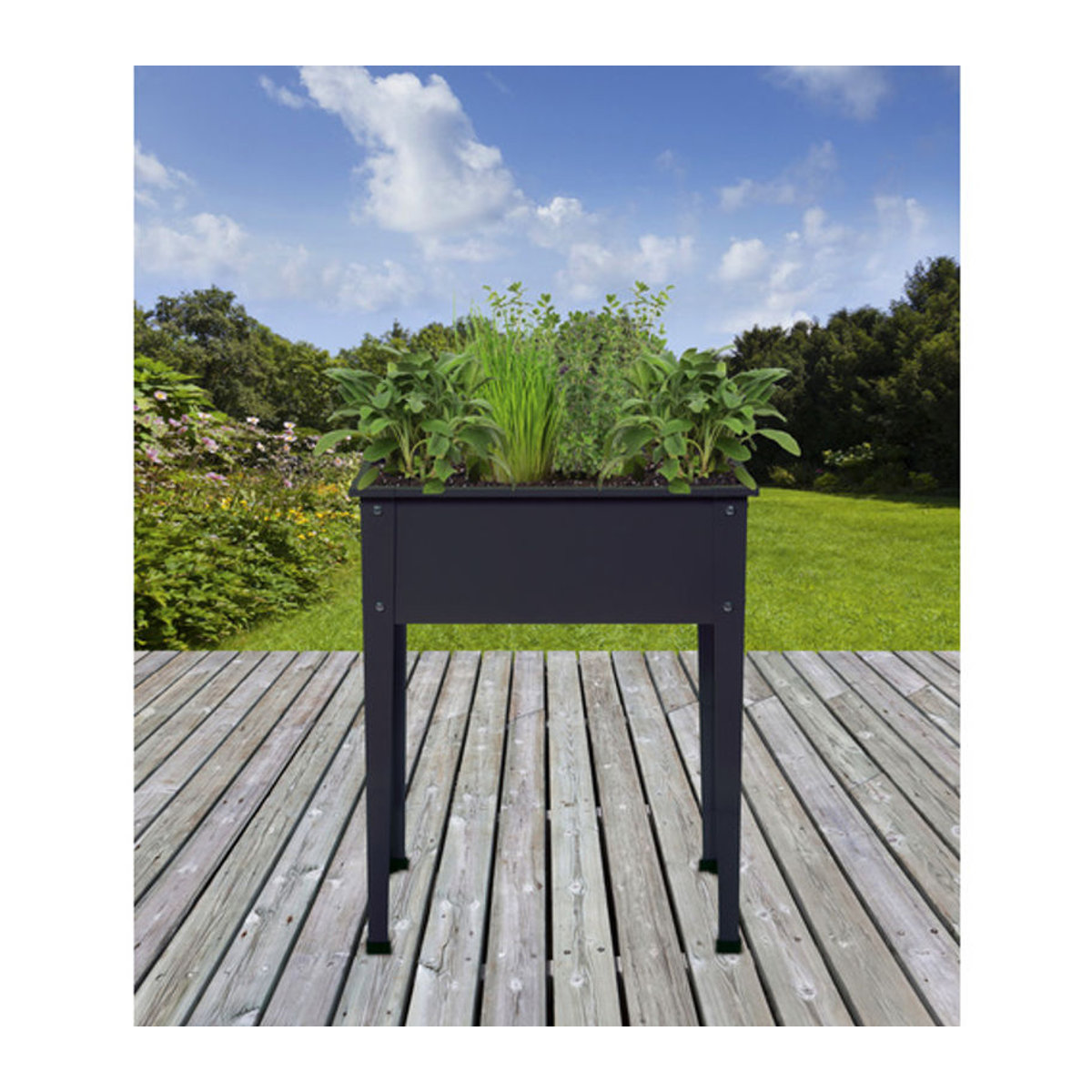 FLORAWORLD Hochbeet Season aus Stahl in Grau/Anthrazit, B/H/L: 60 x 80 x 30 cm - Bild 2