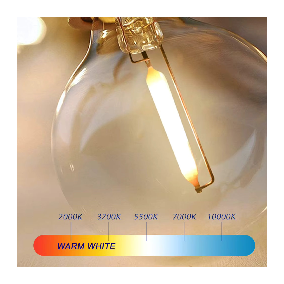 foroureyes G40 LED-Lichterkette mit warmweißen E12 PC-Kugelbirnen für Innen- und Außenbereich, 10 Stück - Bild 2