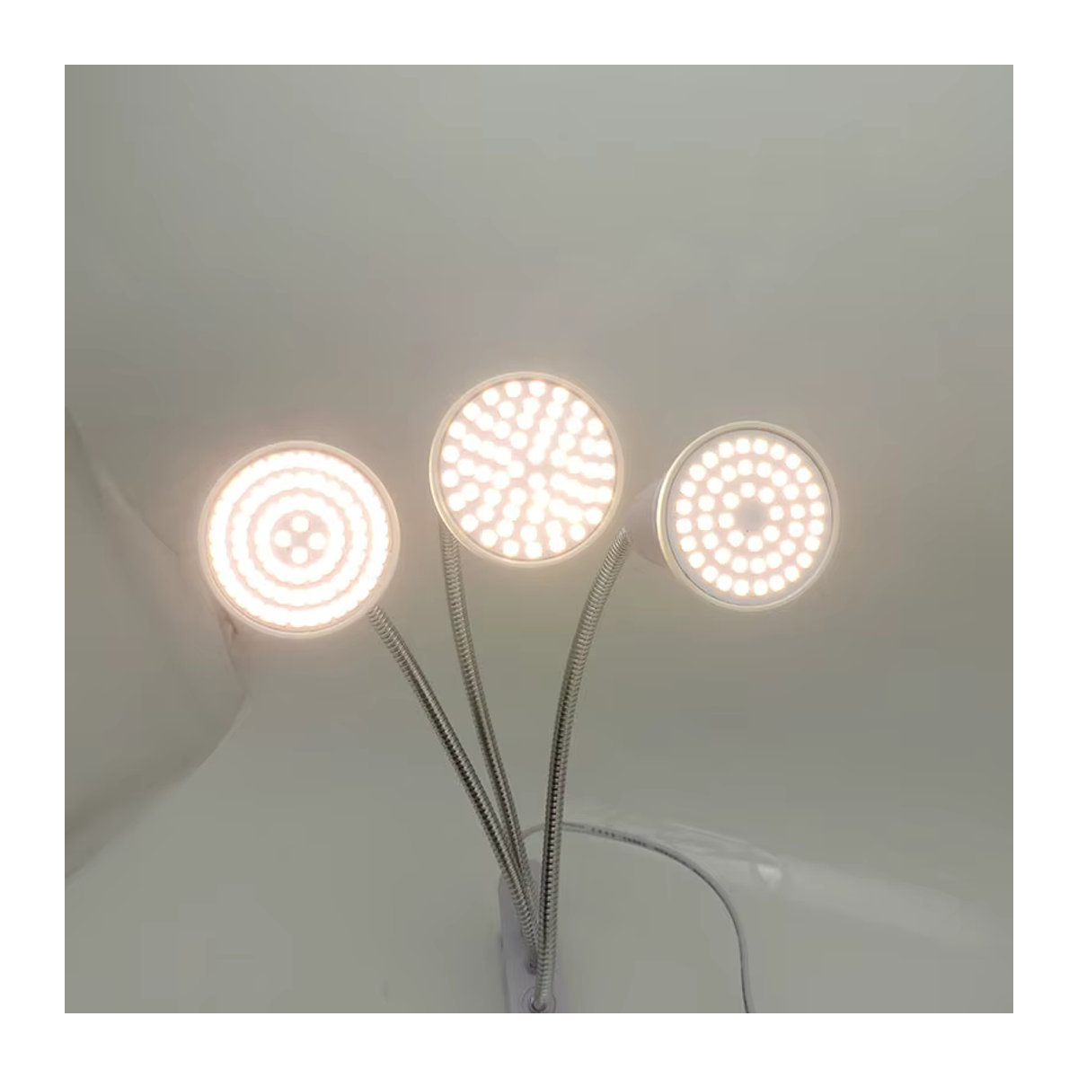 Gakaki LED Pflanzenlampe mit 60 80 Vollspektrum-Leuchtmitteln in Warmweiß für Indoor-Pflanzen und Gewächshäuser - Bild 3