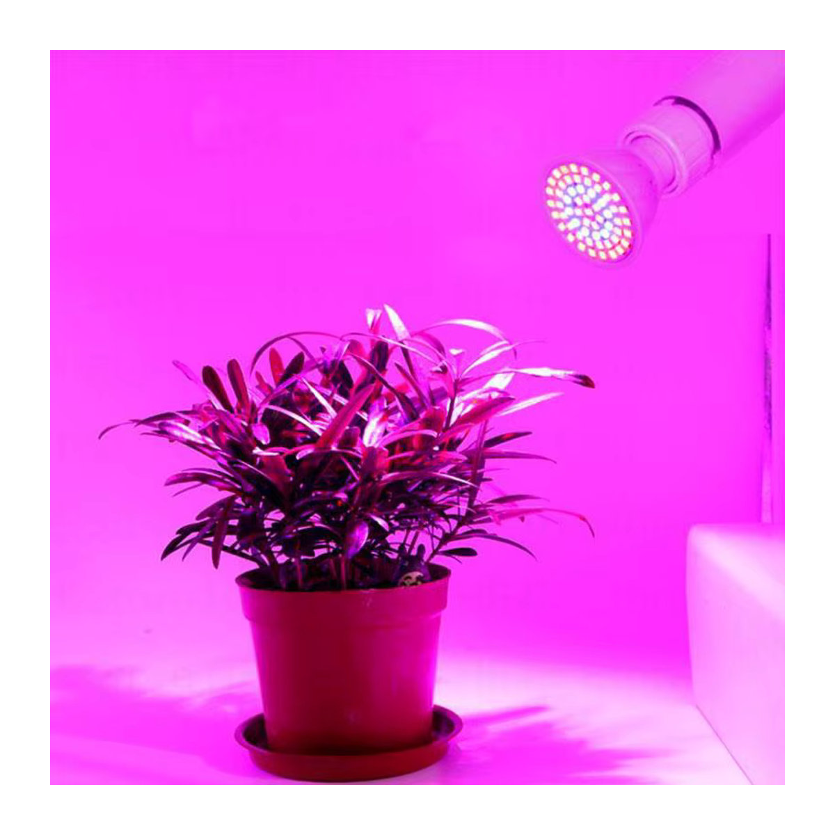 Gakaki LED Vollspektrum Pflanzenlampe zur Pflanzenaufzucht für Indoor Growbox und Hydroponik - Bild 4