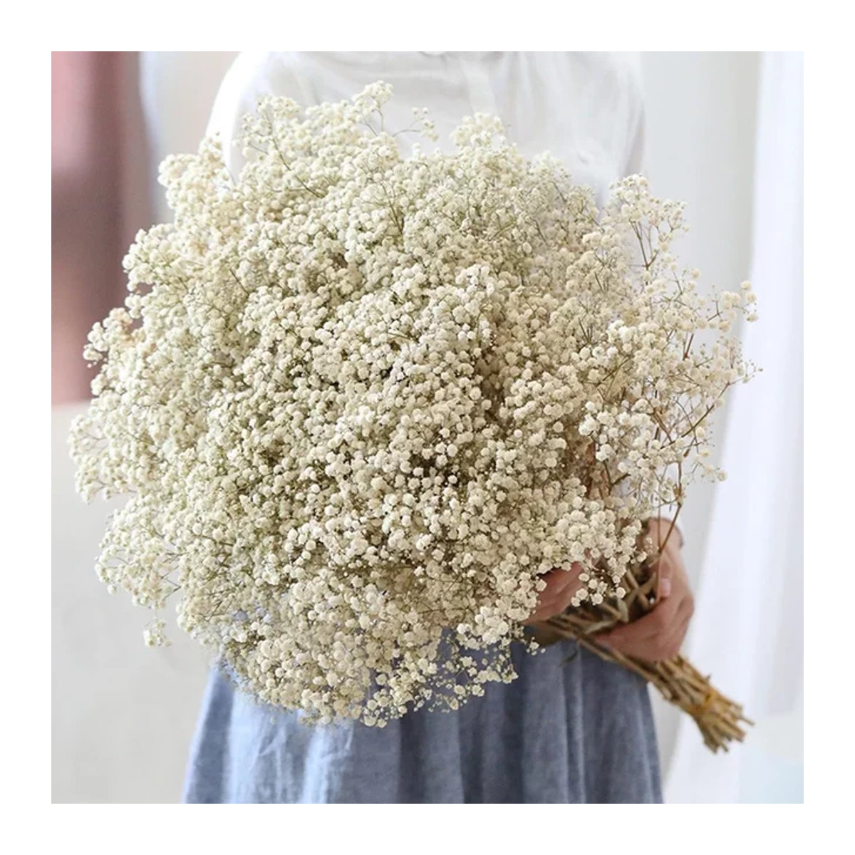 GARCIA Getrockneter Blumenstrauß Gypsophila paniculata Baby's Breath in Weiß und Lila, 40–50 cm Höhe - Bild 1