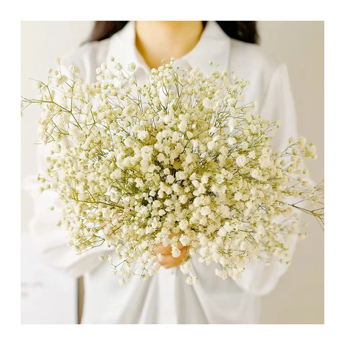 GARCIA Getrockneter Blumenstrauß Gypsophila paniculata Baby's Breath in Weiß und Lila, 40–50 cm Höhe - Bild 2