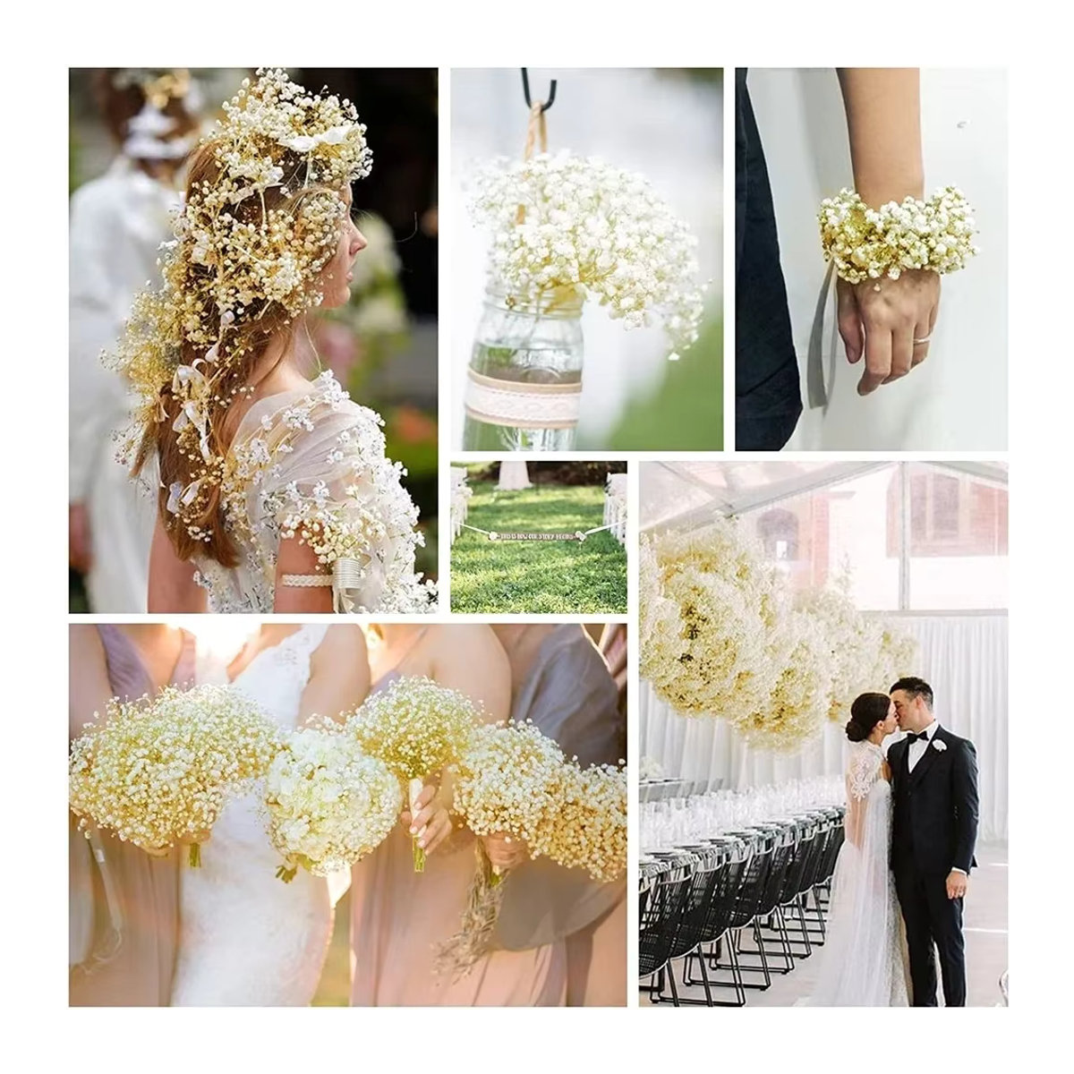 GARCIA Getrockneter Blumenstrauß Gypsophila paniculata Baby's Breath in Weiß und Lila, 40–50 cm Höhe - Bild 3