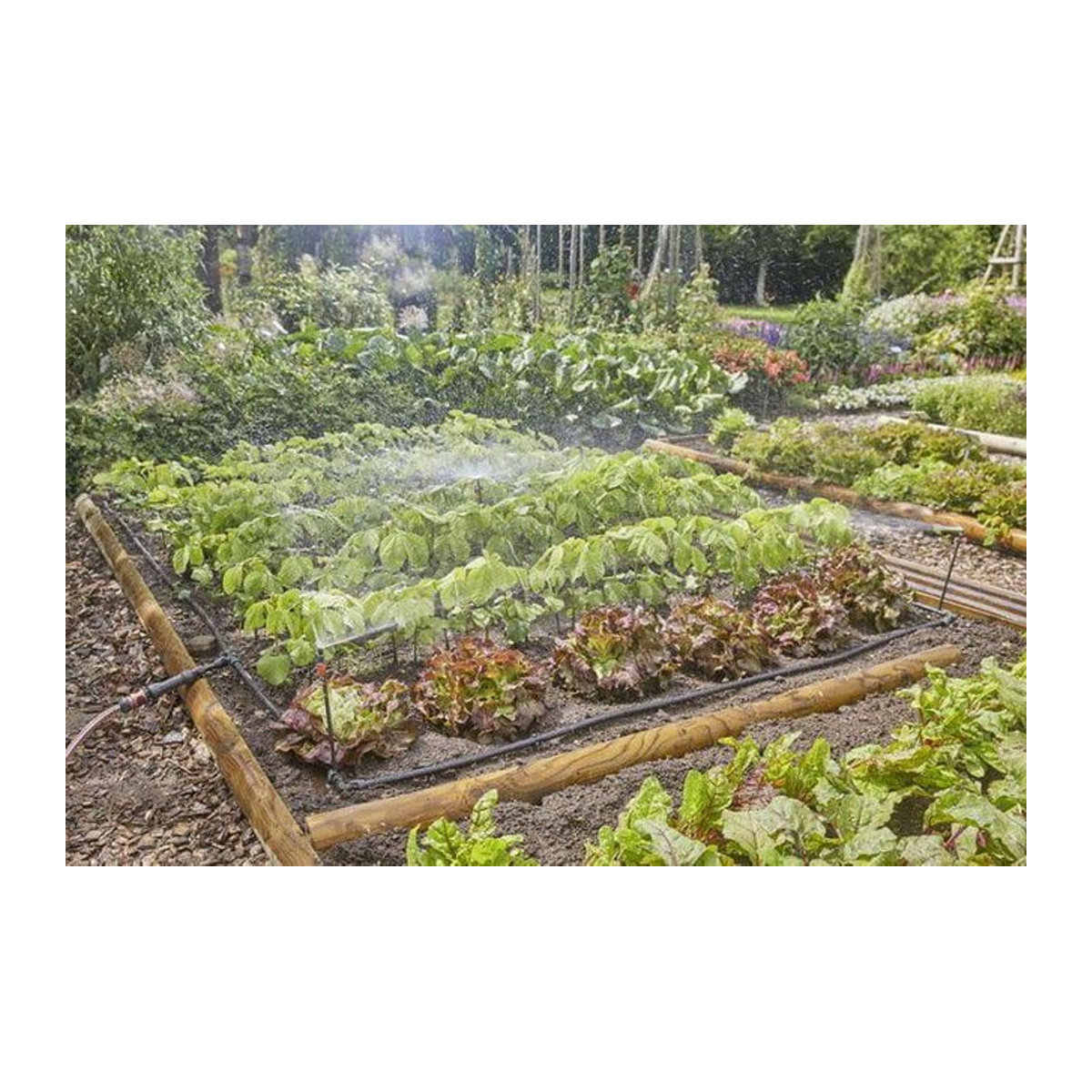 Gardena Micro-Drip-System Tropfbewässerungs-Set für Gemüse- und Blumenbeete 60 m2, B/T/H: 439 x 109 x 448 cm, schwarz-bunt - Bild 2