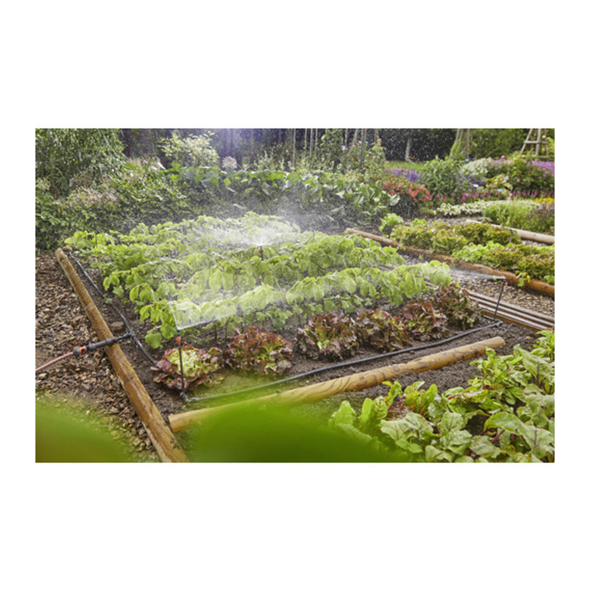 Gardena Micro-Drip-System Tropfbewässerungs-Set für Gemüse- und Blumenbeete 60 m2, B/T/H: 439 x 109 x 448 cm, schwarz-bunt - Bild 3